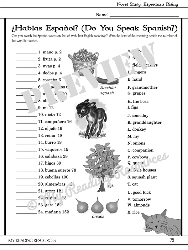 Esperanza Rising Novel Study My Reading Resources